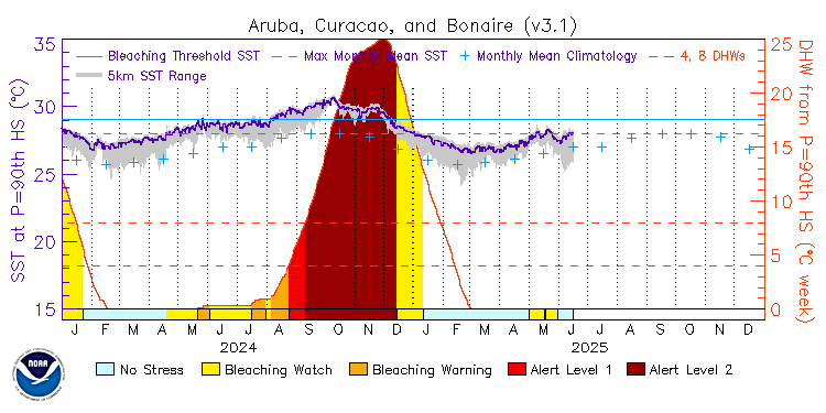 current SST time series