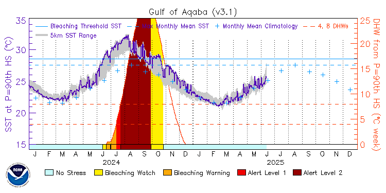 CRW Time Series Image