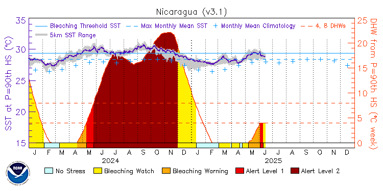 current SST time series