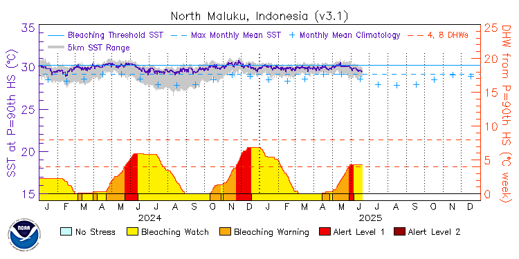 current SST time series