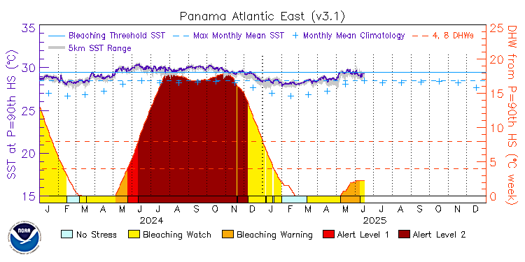 current SST time series