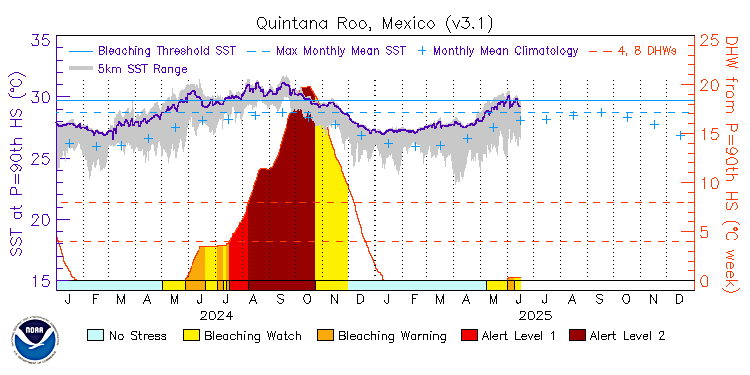 current SST time series