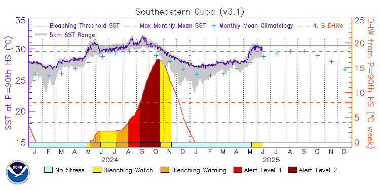 current SST time series